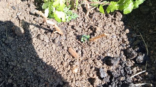 День работаем, день отдыхаем. смотреть онлайн