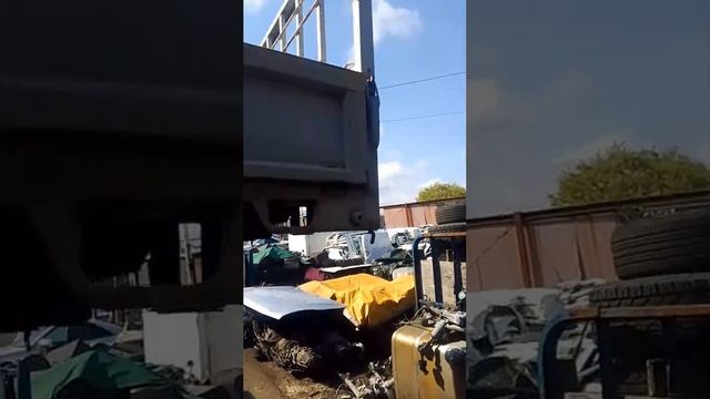 1000241563.mp4 смотреть онлайн