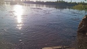 разлив Волги о.зеленый