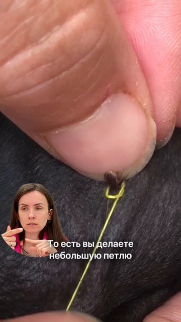 Клещ - 4 способа вытащить без вреда