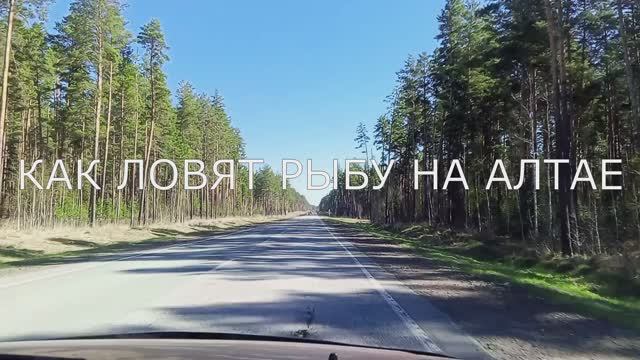 Как местные ловят рыбу на Алтае. Я такое увидел в первый раз! смотреть онлайн
