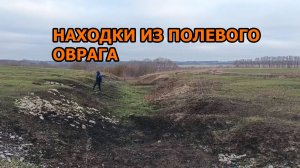 Находки из полевого оврага. Прогулялись по первому морозцу и пустыми не уехали!