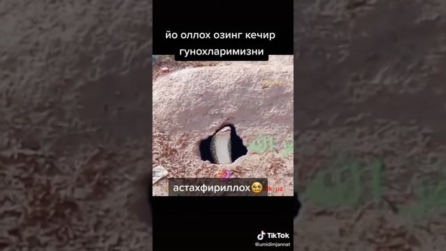 Аллох таолонинг Узи бизларга кабр азобидан панох берсин