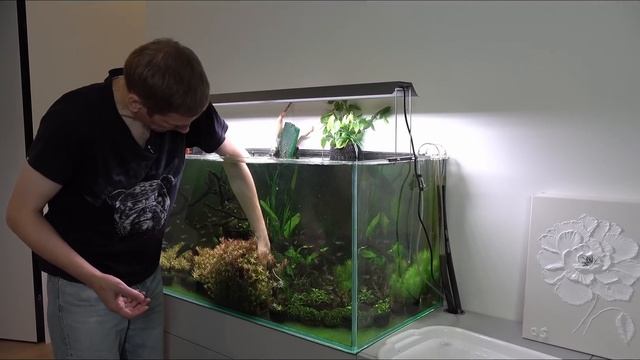 Грунт в травнике 300л