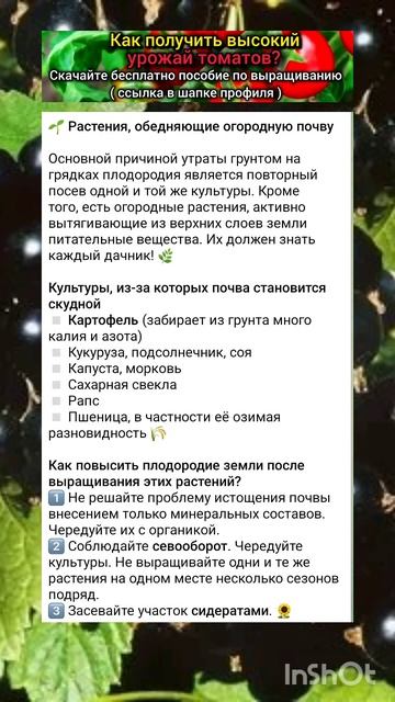 какие культуры обедняют почву в огороде? смотреть онлайн