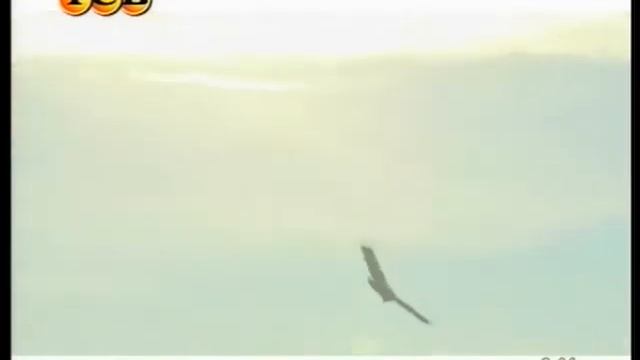 С утра до вечера. ТСВ. 18.04.2013