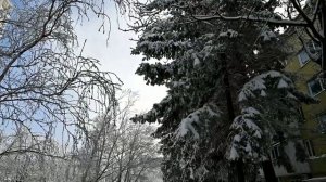 А за окном февраль