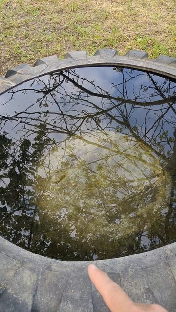 Вечная емкость для воды смотреть онлайн