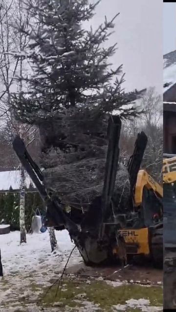 Выкопка растений пересадчиком, упаковка кома в сетку ? смотреть онлайн