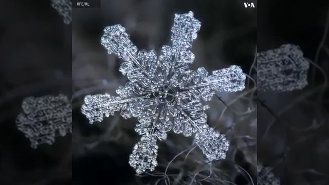 Снежок под специальной линзы