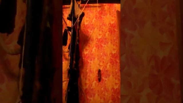 Акробатика + стиль собачки смотреть онлайн