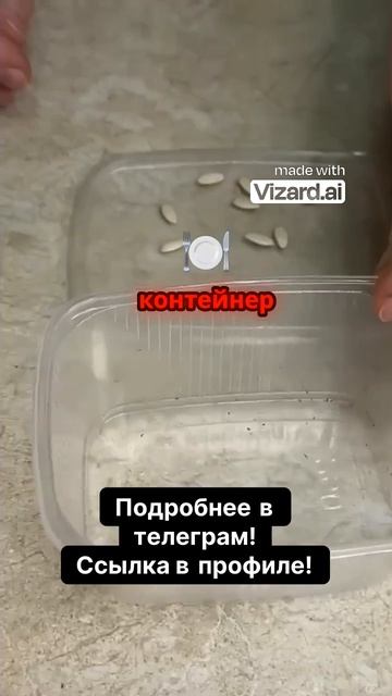 Как вырастить идеальную рассаду огурцов смотреть онлайн