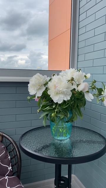 Цветы на балконе. Дарите цветы. Мои пионы. #пионы #уютна смотреть онлайн