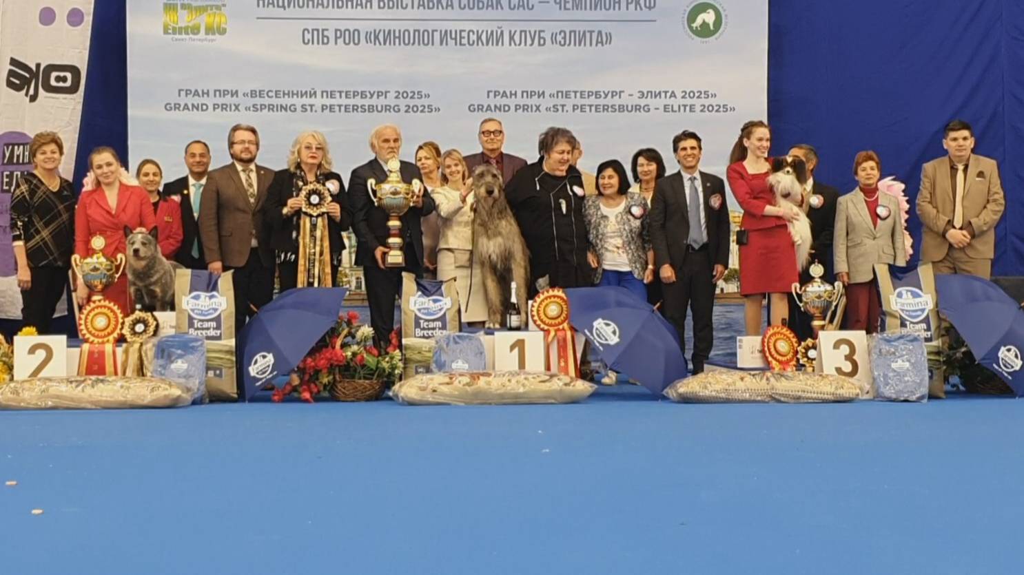 27.04.2025, СПб. Клуб "Элита" (РКФ, ОАНКОО). Рейтинговая выставка "ГРАН ПРИ ПЕТЕРБУРГ-ЭЛИТА" смотреть онлайн