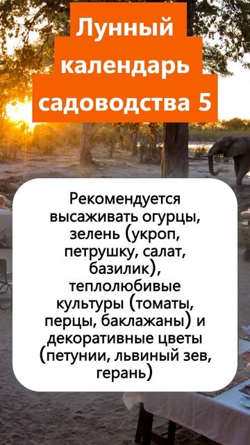 Лунный календарь садоводства ЧТО РЕКОМЕНДУЕТСЯ ДЕЛА? смотреть онлайн