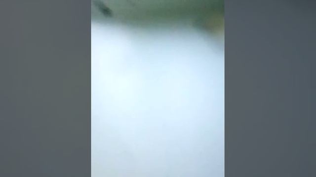 как кормить осу смотреть онлайн