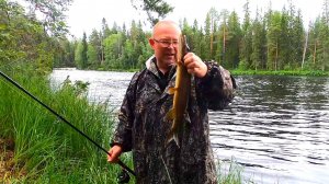 Рыбалка в Карелии. Прогулка по таёжной речке в июле.