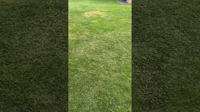 Landscape Whisperings