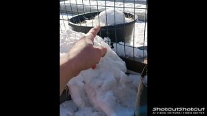 Текстильные горшки для туй, лучшее решение.