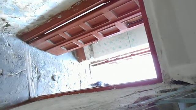 Супер-Тревога. Реакция Кота на Музыку . Прикол. Эксперимент смотреть онлайн