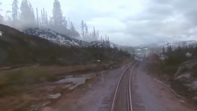 Красивая Азербайджанская песня смотреть онлайн