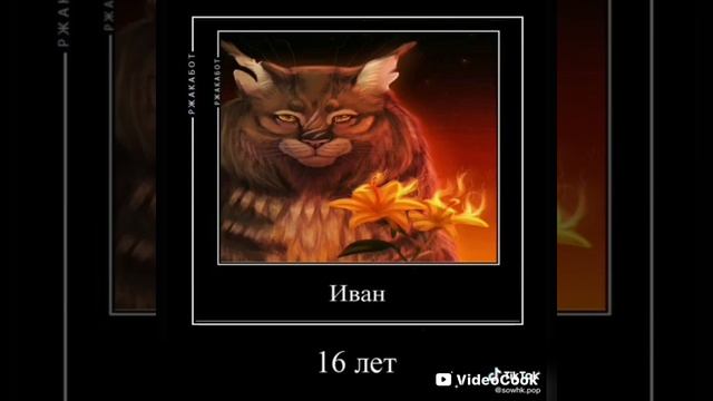 коты воители подборка из тик тока смотреть онлайн