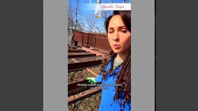 Грядки которые действительно служат не один год смотреть онлайн