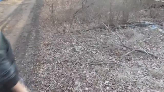 прикольное видео)) смотреть онлайн