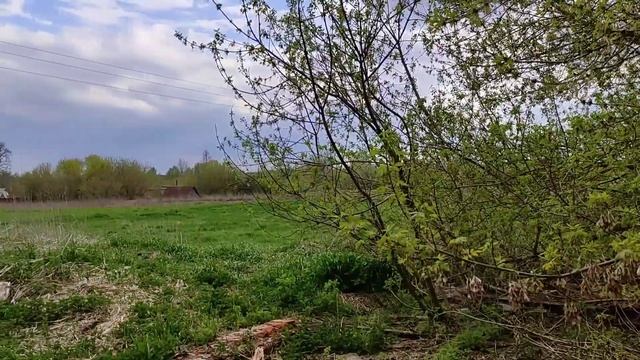Подготовка и выставка ловушек для бродячих роев смотреть онлайн