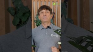 Монофосфат калия: дозировки для разных культур! #антон
