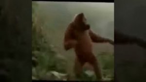 Танцующа обезьяна под песню пятница