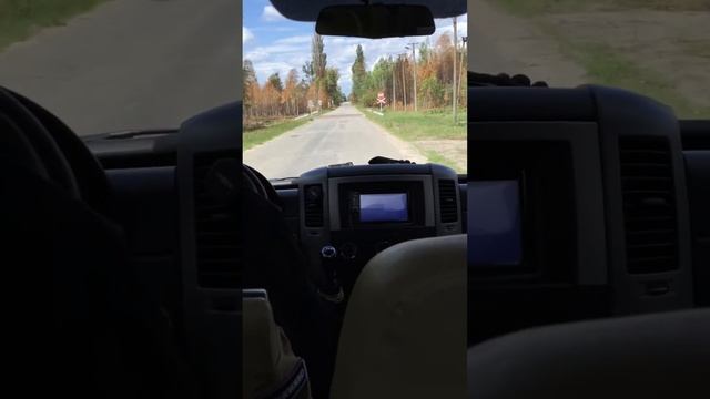 Припять рыжий лес смотреть онлайн