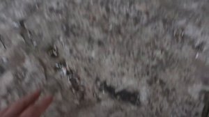 Почему трескается отмостка вокруг дома и как это испр?