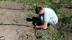 🚀 Как быстро установить капельный полив своими рукам