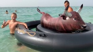 КУПИЛИ СЕБЕ ВЕСЕЛЬЕ.  НИКА КАТАЕТСЯ НА БЫКЕ. НИКА ЛАЙФ