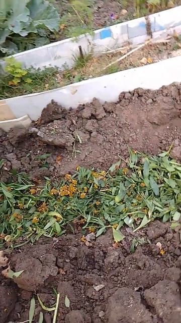 Подготовка грядок к весне смотреть онлайн