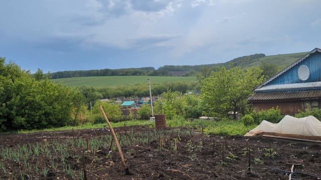 Начала высаживать помидоры и ливанул дождь смотреть онлайн