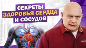 Работа сердца и сосудов: от чего зависит их здоровье и долголетие