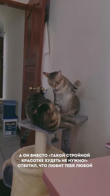 Дарю 15 рецептов вкусных пп-ужинов🍱Забрать можно в Telegram — ссылка в шапке канала (5)