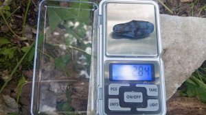 Жимолость Мамонтенок! Хакасия. Такой ягоды  еще не вид?