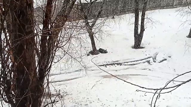 Утром дождь, а вечером снег... ❄⛄🏂