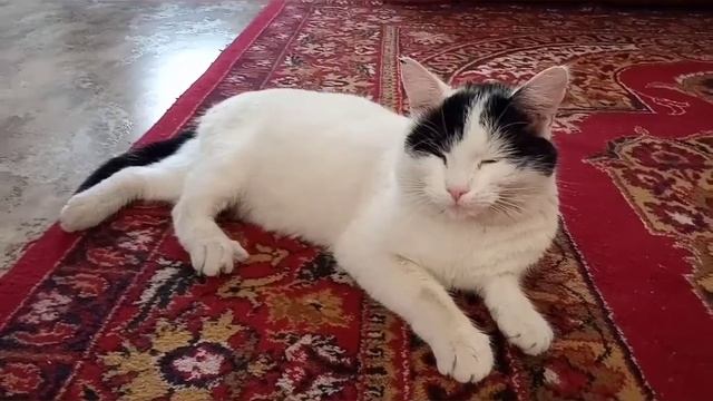 А за окном то снег то дождь...