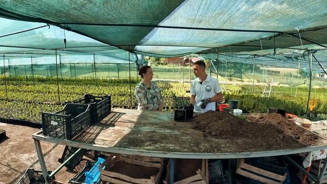 Как Открыть Питомник Декоративных Растений? Как Постр смотреть онлайн