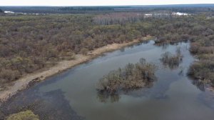 р.Бирюса. последствия сплава леса