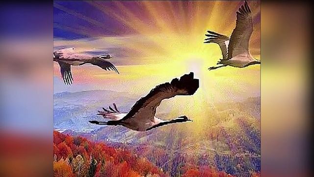 Журавли смотреть онлайн