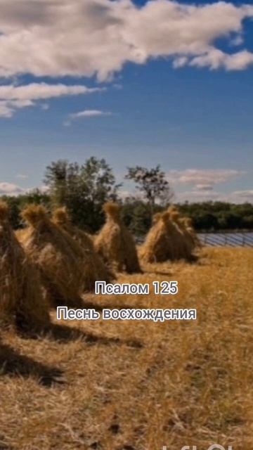 Сеявшие со слезами будут пожинать с радостью#Библия смотреть онлайн