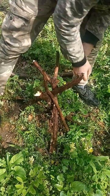 Быстровозводимый костёр над землёй смотреть онлайн