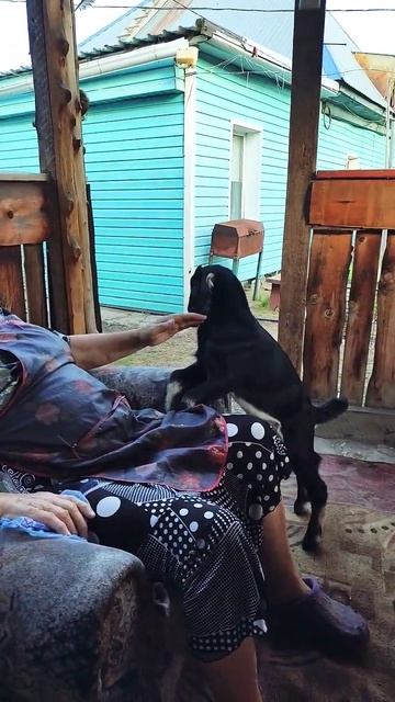 5 августа#деревня# смотреть онлайн