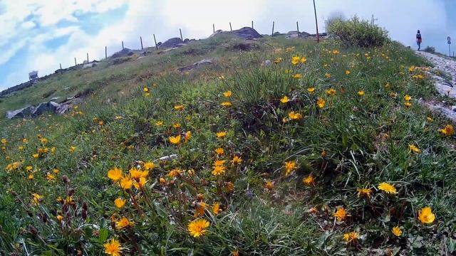 Вр. Черни връх, Витоша / Mt. Black Peak, Vitosha Mountain