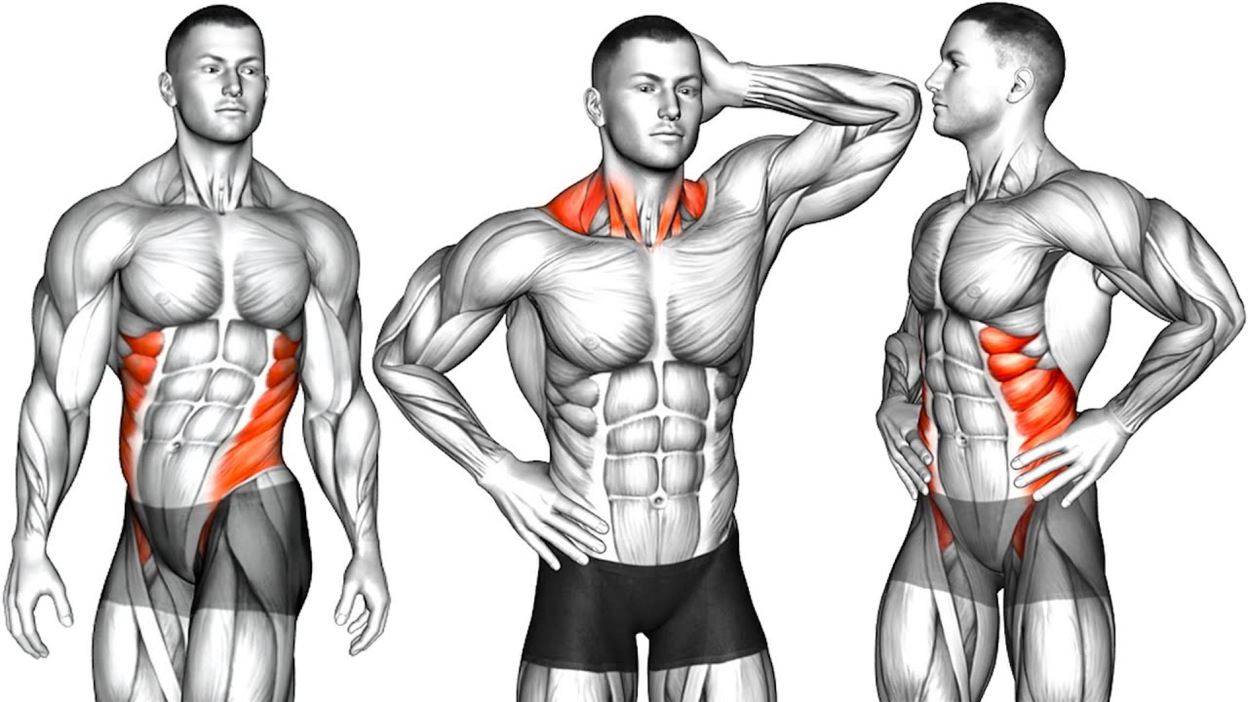 Утренняя растяжка для начинающих | Тренировка гибкости всего тела смотреть онлайн
